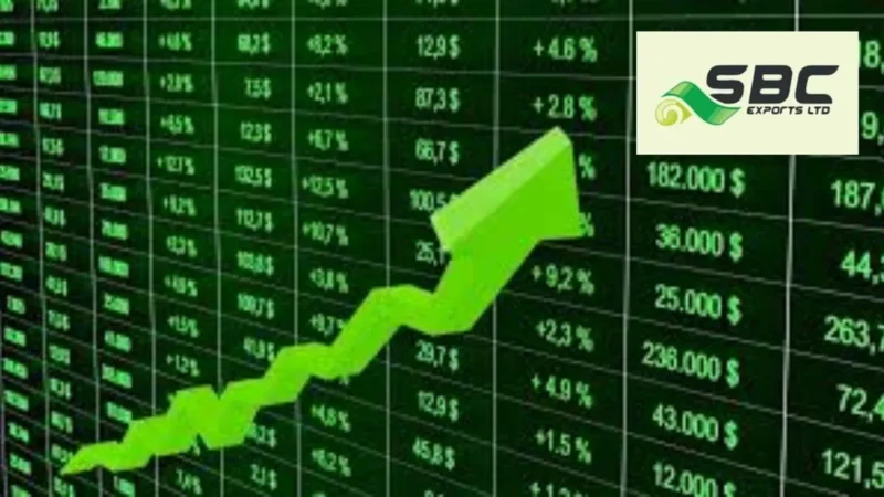 5 ஆண்டுகளில் 2600% உயர்ந்த ஸ்மால் கேப் பங்கு: இப்போது முதலீடு செய்தால் லாபம் கிடைக்குமா? – Allmaa