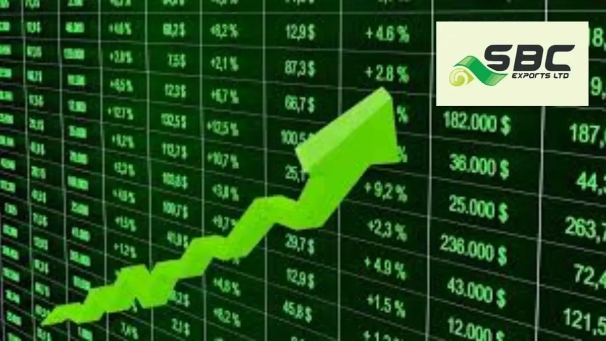 5 ஆண்டுகளில் 2600% உயர்ந்த ஸ்மால் கேப் பங்கு: இப்போது முதலீடு செய்தால் லாபம் கிடைக்குமா? – Allmaa