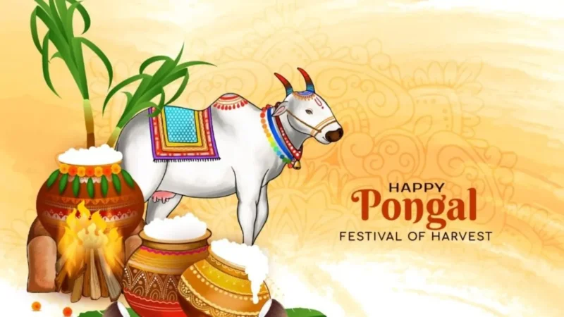 2026 பொங்கல் பண்டிகைக்கு ரூ.5,000 பரிசா? எகிறும் எதிர்பார்ப்பு.. தமிழக அரசு அறிவிப்பு வருமா? – Allmaa