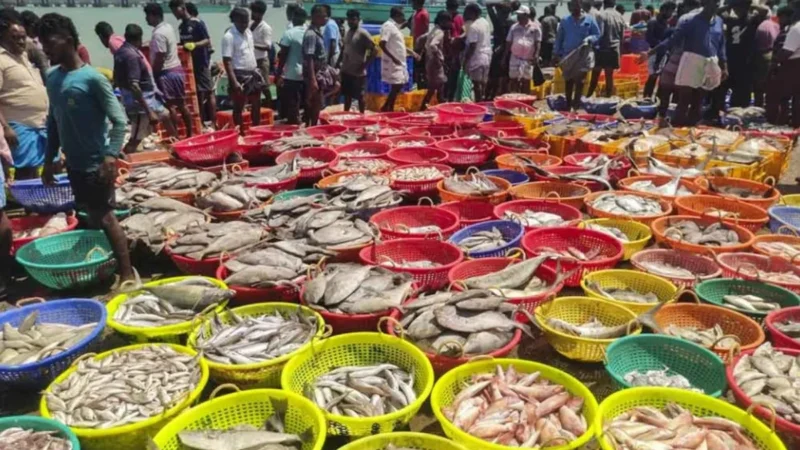 டிரம்பின் 50% வரி விதிப்பை வென்ற இந்திய ஏற்றுமதித் துறை.. புதிய உத்தியை கையிலெடுத்த மத்திய அரசு..!! – Allmaa