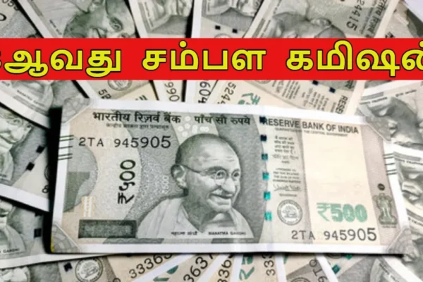 8thpayarear1-1765863848