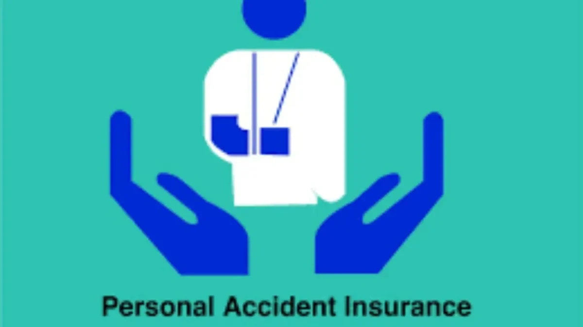 befunky-collage11-1765810677