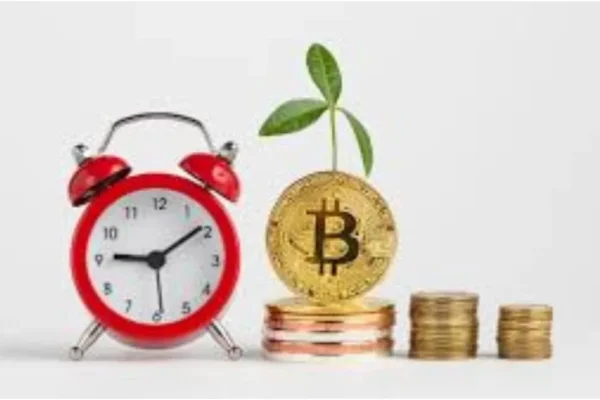 befunky-collage20-1765868271