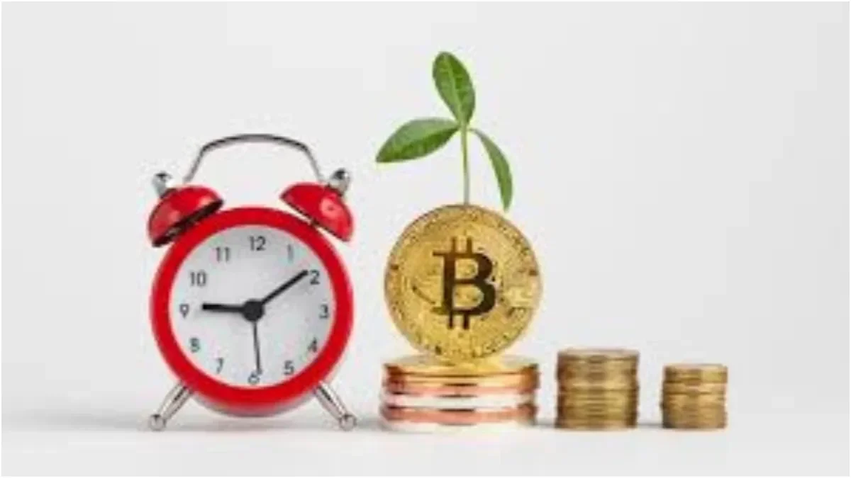 befunky-collage20-1765868271