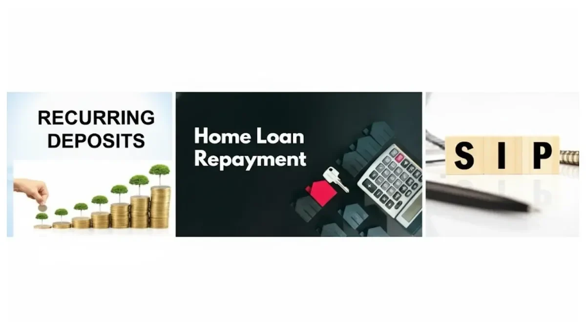 befunky-collage72-1766382655