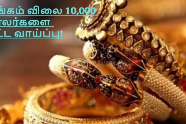 befunky-collage83-1766405536