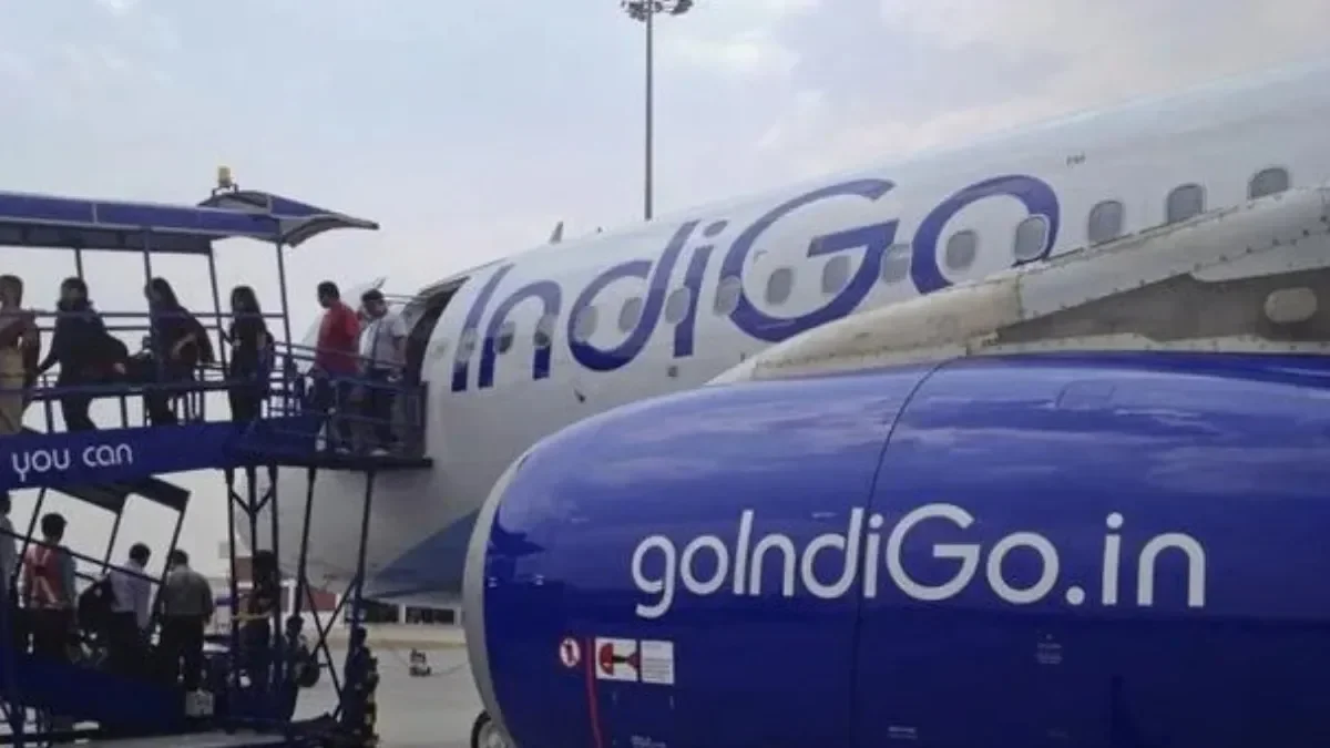 indigo2-1765017717