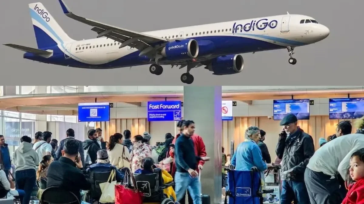 indigo4-1765176597