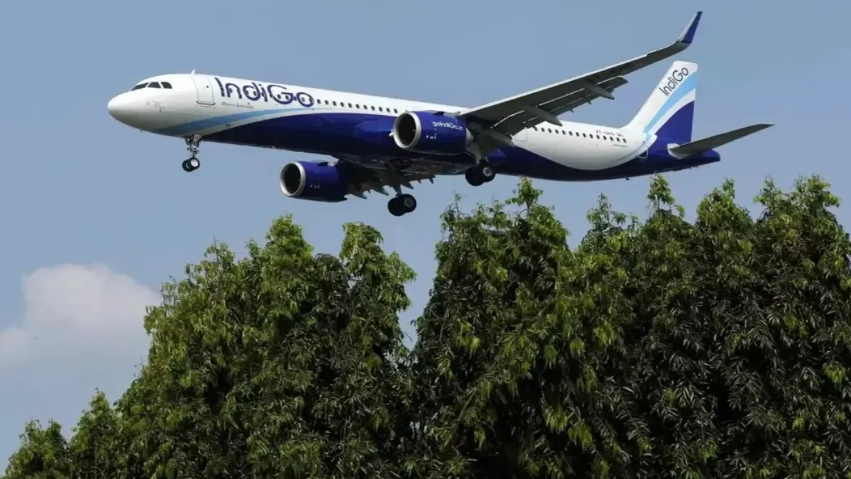 indigoputin-1765019222