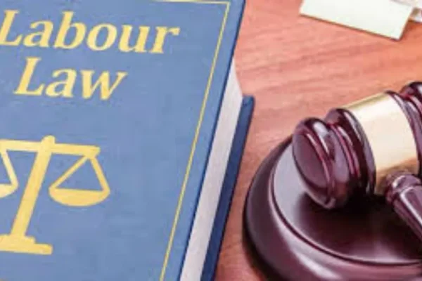 befunky-collage-2026-01-24t090741-406-1769225993