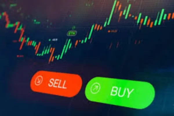 befunky-collage35-1769607839