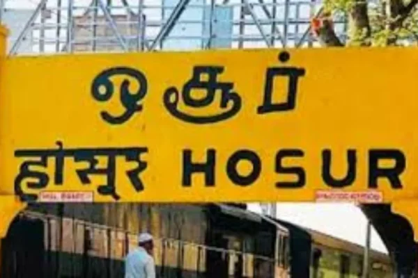 befunky-collage6-1769335012