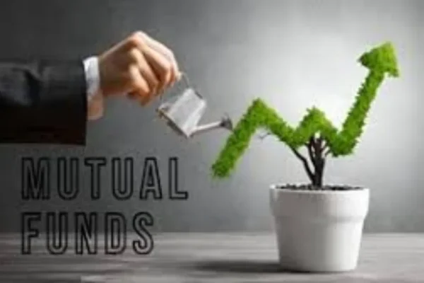 befunky-collage9-1769340952