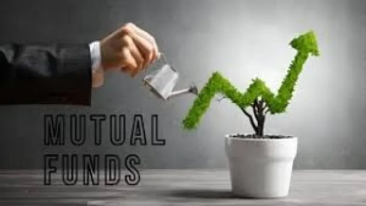 befunky-collage9-1769340952