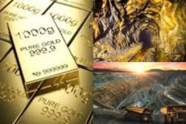 befunky-collage-2026-02-12t112250-052-1770875606