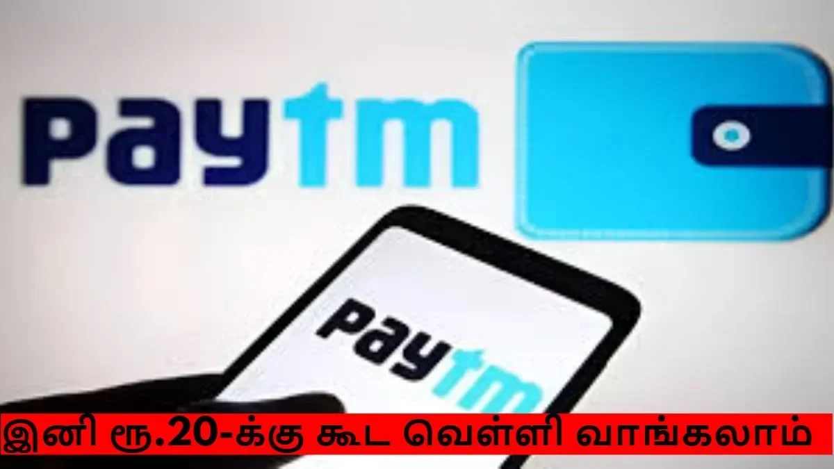 befunky-collage-2026-02-24t171912-787-1771933773