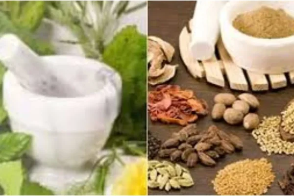 befunky-collage94-1769933251