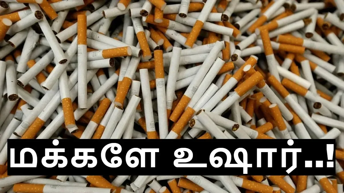 cigarette6-1770015753