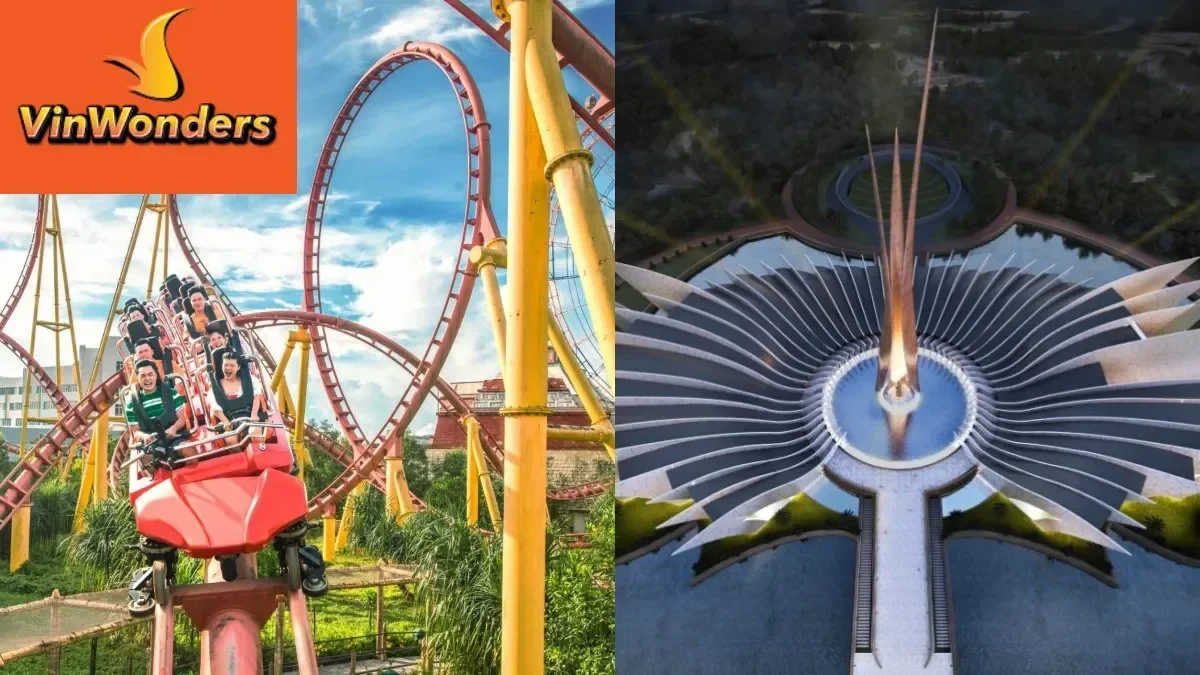 vinwonder-1770040974