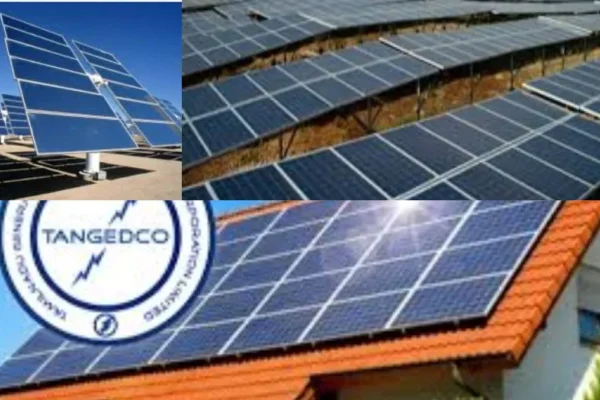 befunky-collage-2026-03-10t171643-727-1773143288