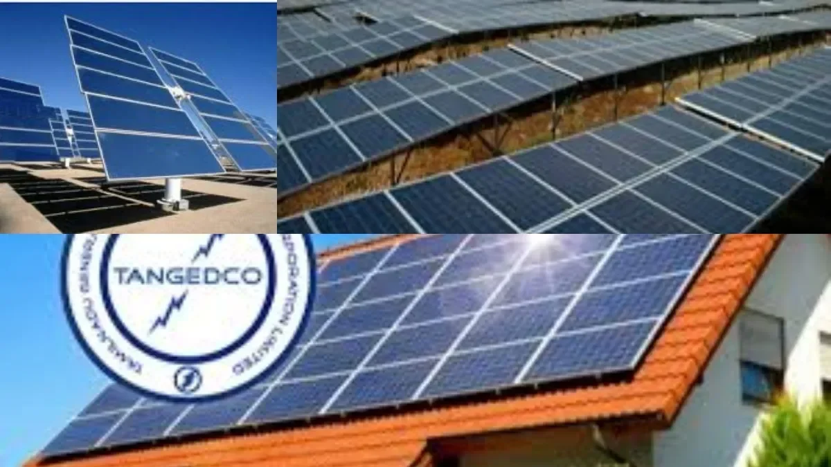 befunky-collage-2026-03-10t171643-727-1773143288