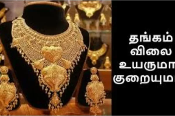 befunky-collage-2026-03-14t171840-596-1773488938