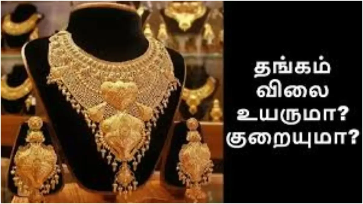 befunky-collage-2026-03-14t171840-596-1773488938