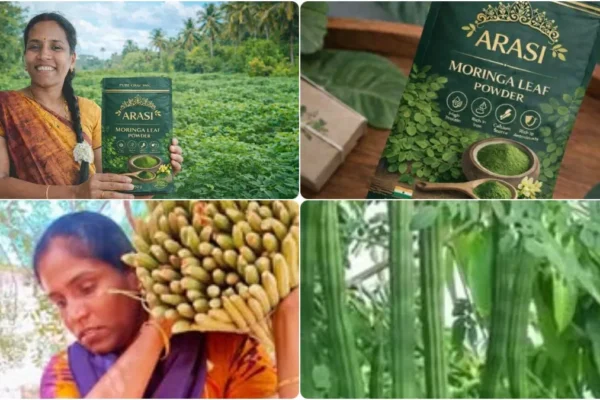 befunky-collage-2026-03-22t180218-525-1774182848