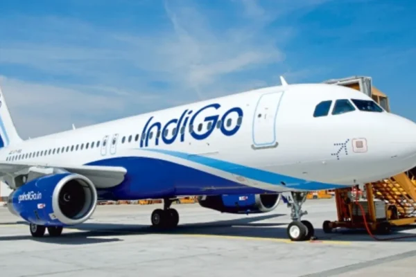 indigo1-1773417234