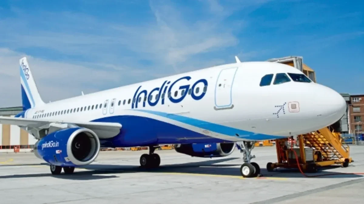 indigo1-1773417234