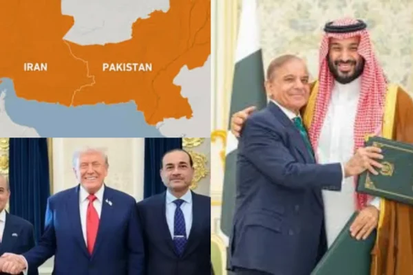 paksitanf-1773488853