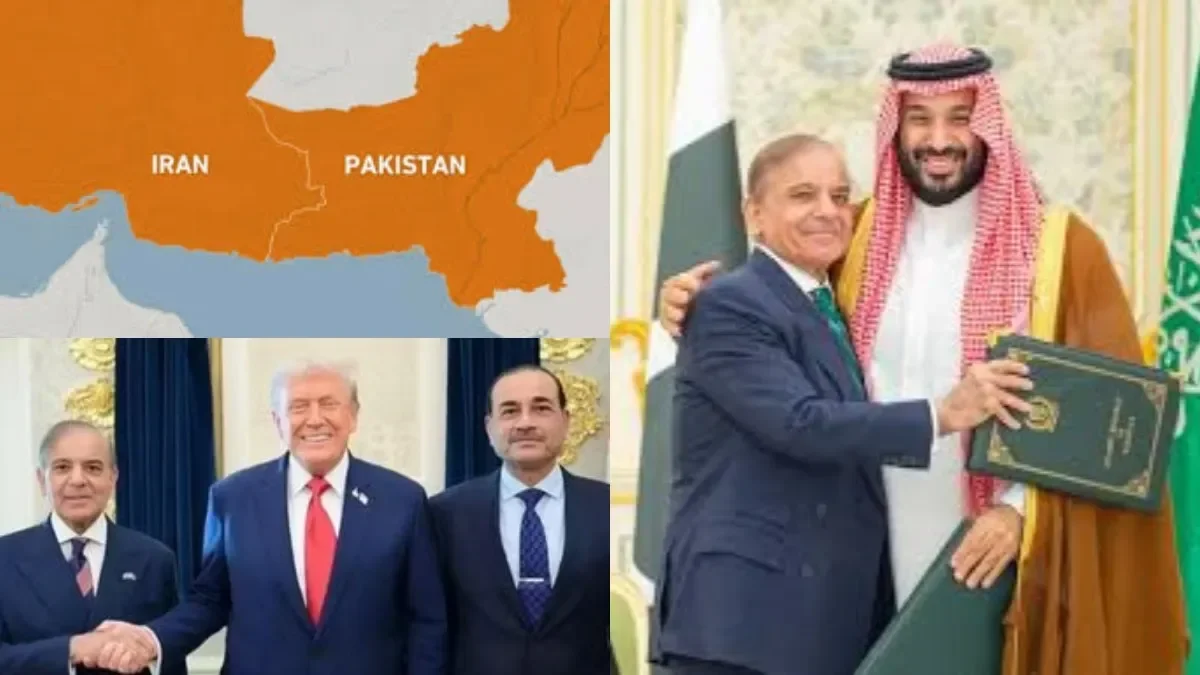 paksitanf-1773488853